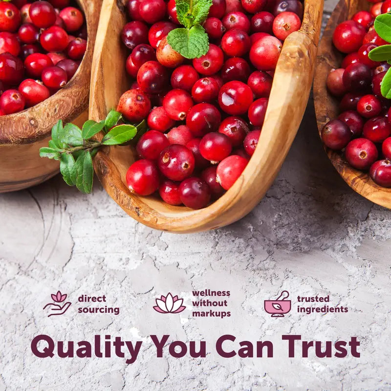 Fresh cranberries in wooden bowls, quality ingredients for urinary tract support